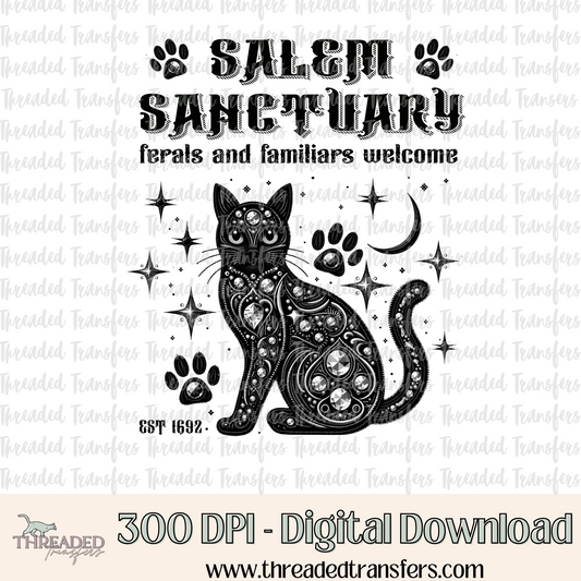 Salem Sanctuary Faux Rhinestones & Faux Embroidery Digital Design Download (PNG Format - no product shipped)