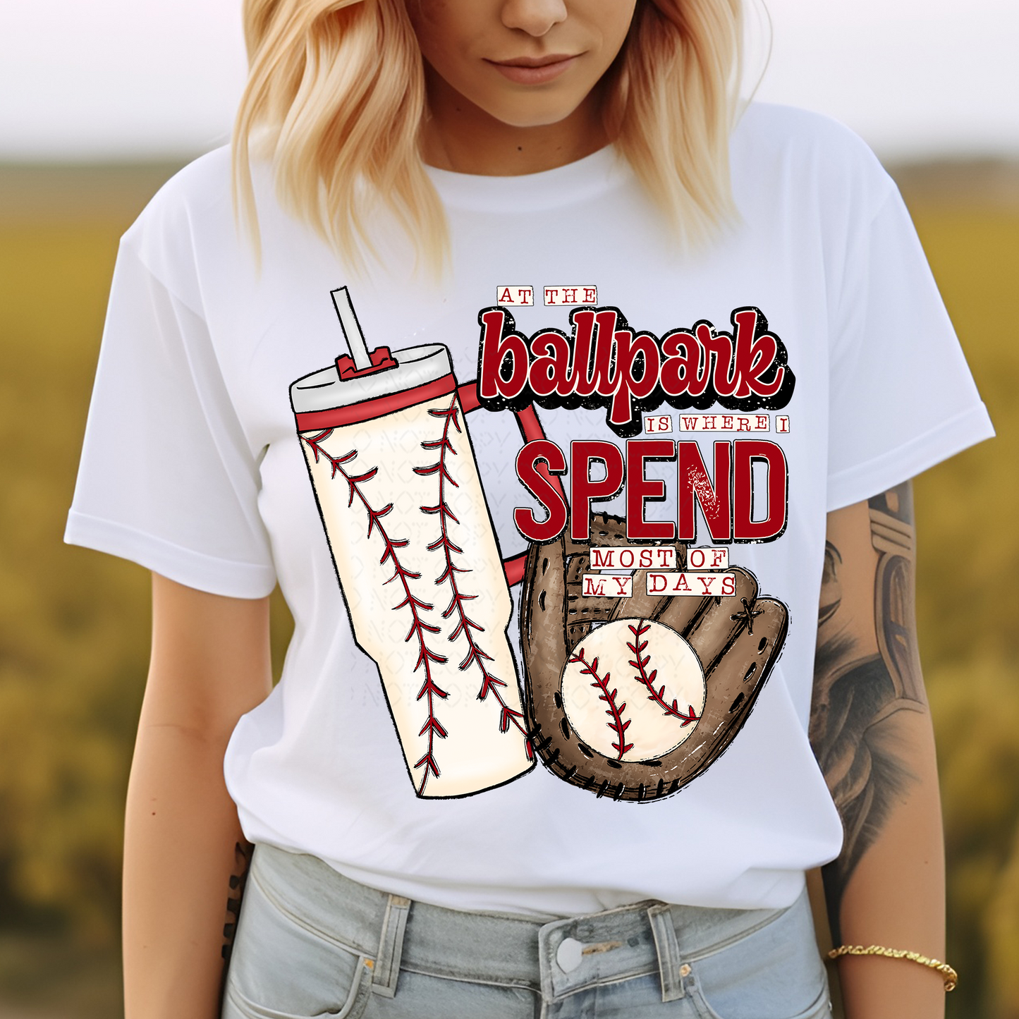 At the Ballpark Baseball DTF & Sublimation Transfer