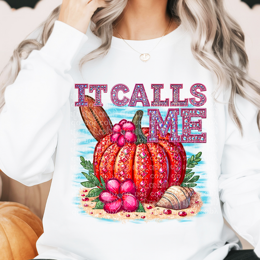 It Calls Me Fairytale Pumpkin Faux Rhinestone & Faux Embroidery DTF & Sublimation Transfer