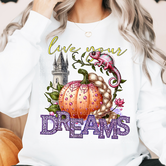 Live your Dreams Fairytale Pumpkin Faux Rhinestone & Faux Embroidery DTF & Sublimation Transfer