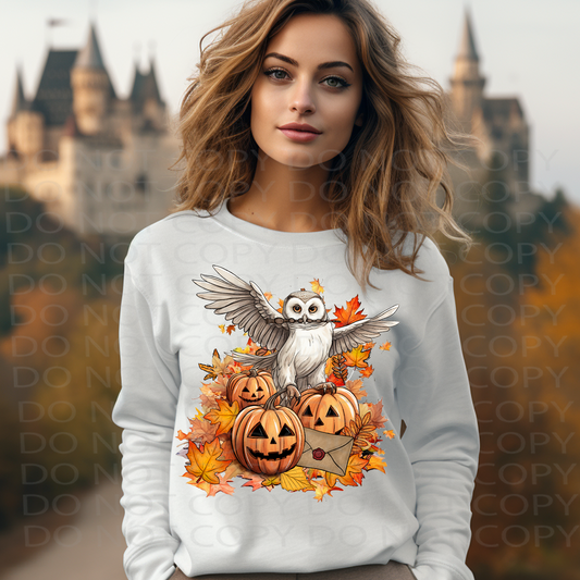 Owl Jack O' Lantern DTF & Sublimation Transfer