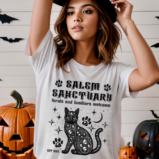 Salem Sanctuary Faux Rhinestone & Faux Embroidery DTF & Sublimation Transfer