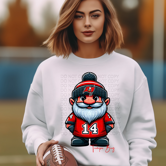 Tampa Bay Gnome  DTF & Sublimation Transfer